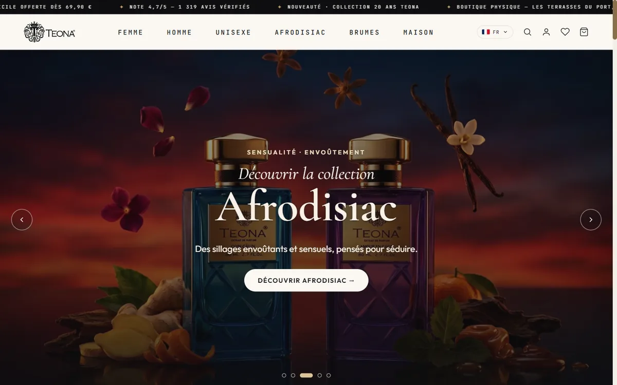 Teona — shopify store